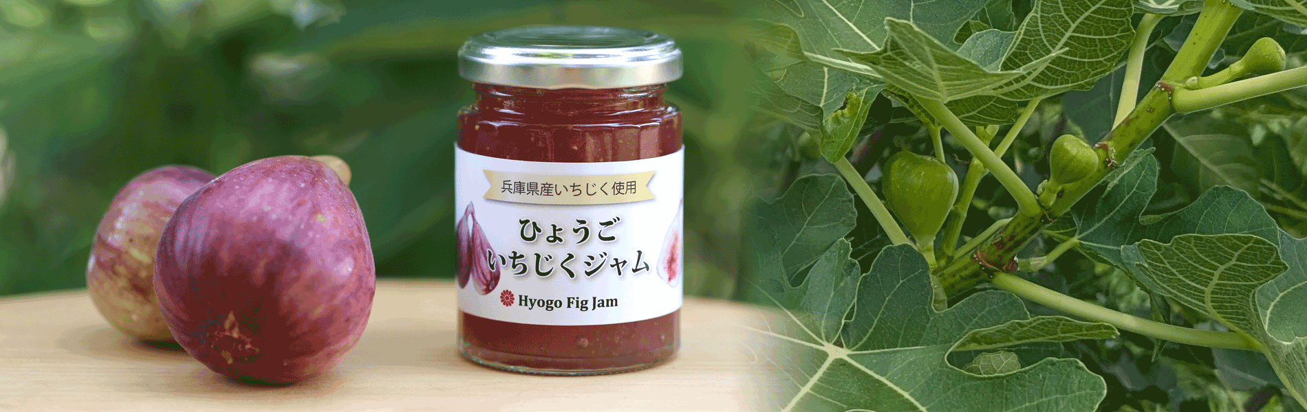 ひょうごいちじくジャム
