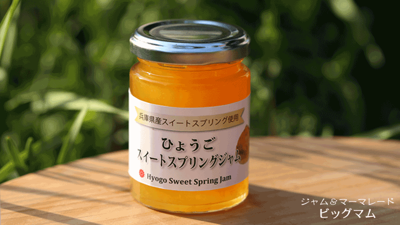 Hyogo Sweet Spring Jam