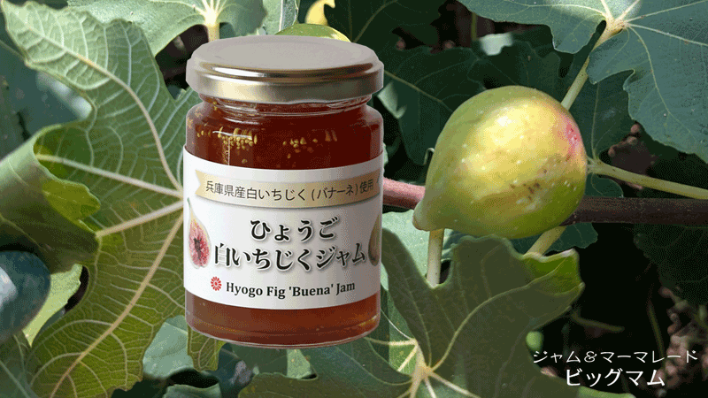 Hyogo Fig 'Buena' Jam